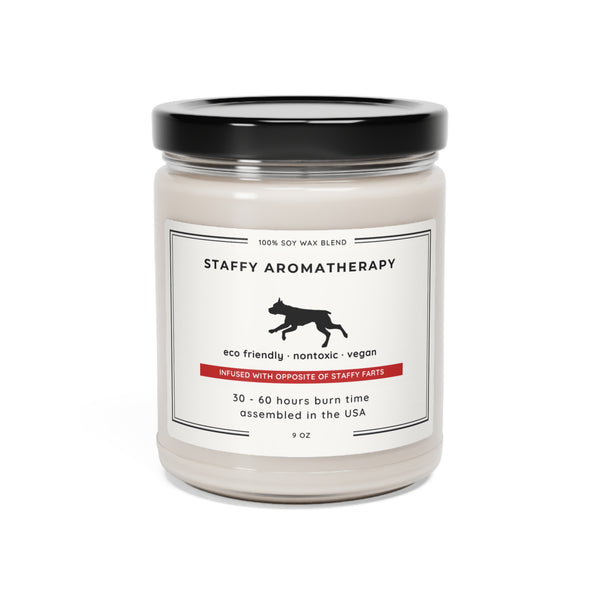 Candle "Infused with Opposite of Staffy Farts"